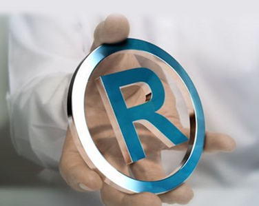 擅自转让公司商标 赔偿其他股东损失20万